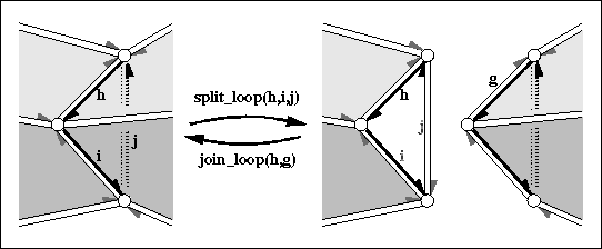 euler_loop.png